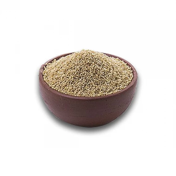 Foxtail millet